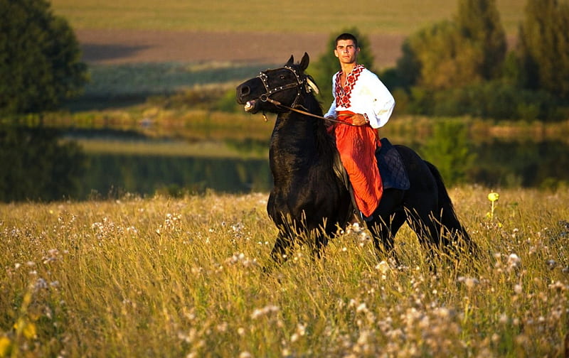 Black Stallion, black, man, horse, riding, HD wallpaper