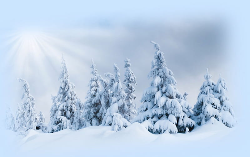 Winter, snow, beauty, Painting, white, trees, HD wallpaper | Peakpx