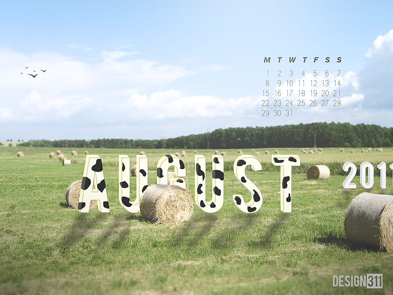 2011-august Cows Of August, HD wallpaper