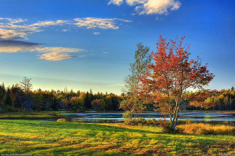 West Bay Pond in Autumn - Maine, pond, autumn, trees, clouds, HD wallpaper