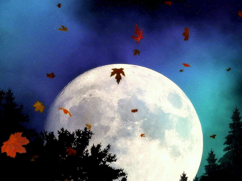 ~Full Moon in Fall~, moons, fall season, autumn, premade BG, love four seasons, bonito, creative pre-made, trees, seasons, leaves, stock , full moon, landscapes, exterior, nature, forests, HD wallpaper