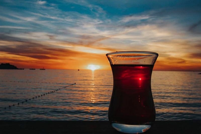 Teatime, tea, cup, Sunset, ocean, HD wallpaper