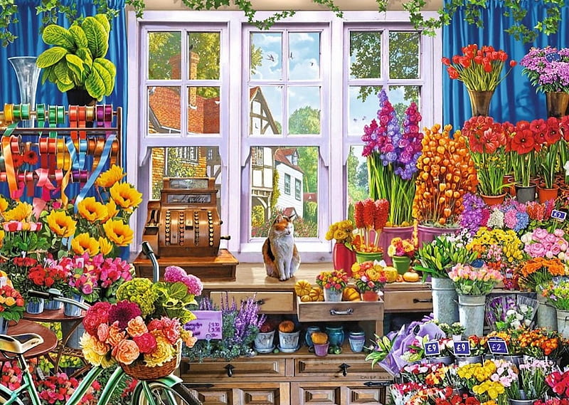 Flora's Flower Shoppe, shop, pots, window, plants, flowers, cash register, cat, HD wallpaper