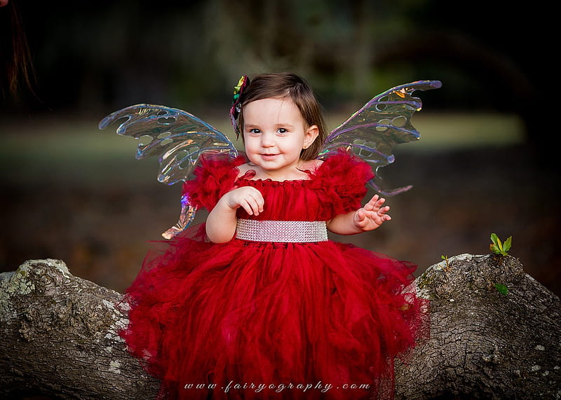 Fairy, cute, red, wings, dress, fairyography, copil, child, HD wallpaper