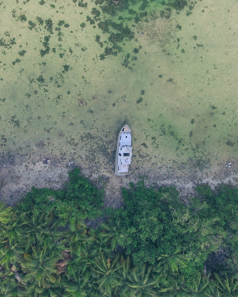 nature, boat, trees, aerial view, coast, HD phone wallpaper