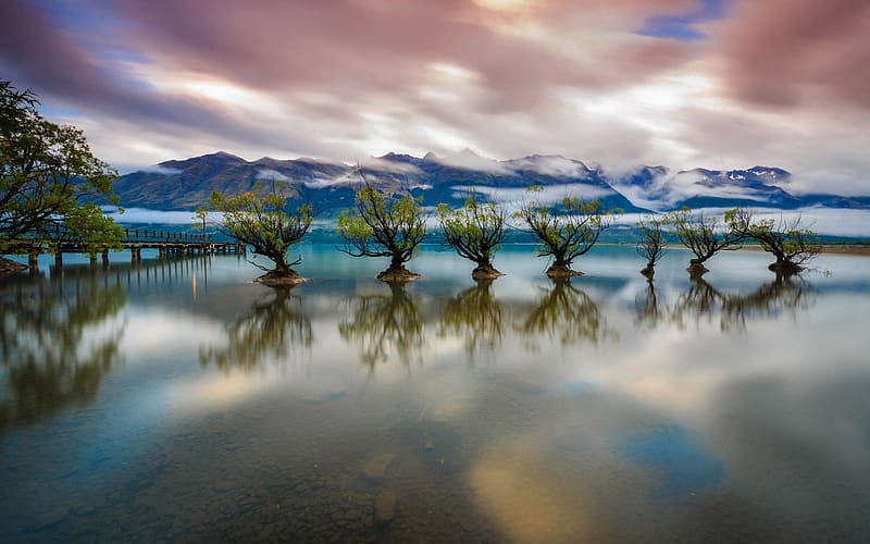 Lagos, Lago, Reflejo, Nueva Zelanda, Árbol, , Lake Wakatipu, Fondo de ...