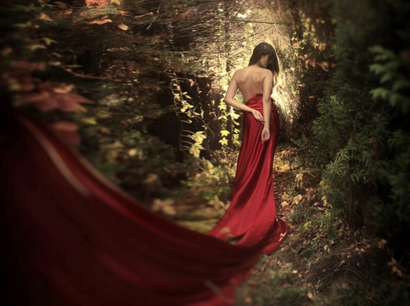 Mysterious Lady In Red, forest, red, dress, woman, HD wallpaper