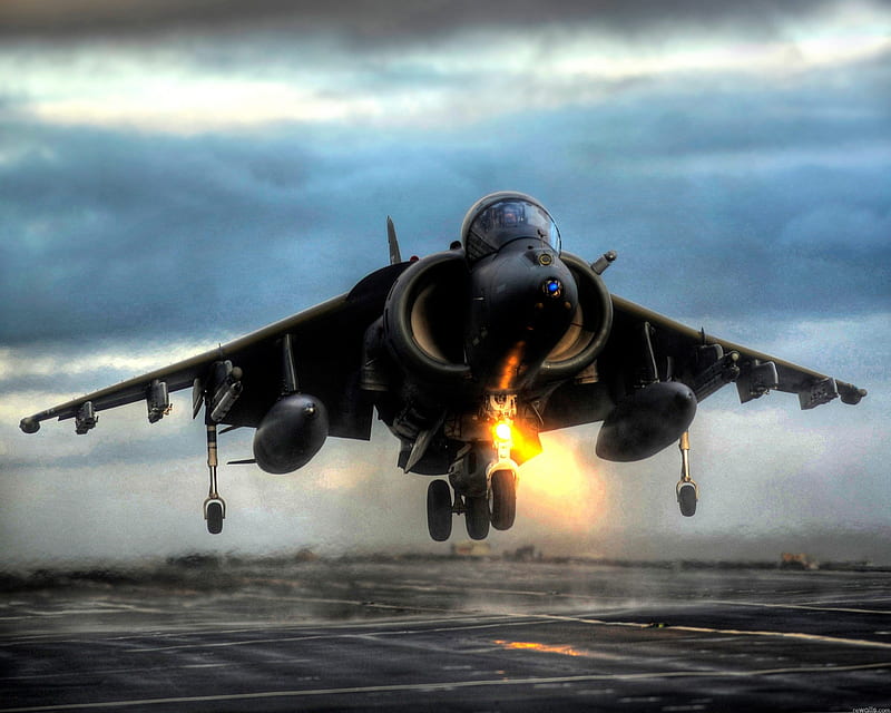 Hawker Harrier, raf, fighter, british, hawker, jet, harrier, HD wallpaper