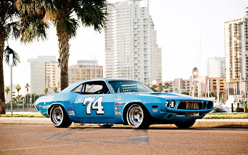 Dodge Challenger, 1973 cars, nascar, racing cars, muscle cars, Dodge, HD wallpaper