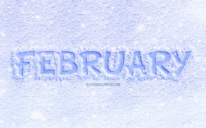 February, ice letters, white background, winter, February concepts, February on ice, February month, winter months, HD wallpaper