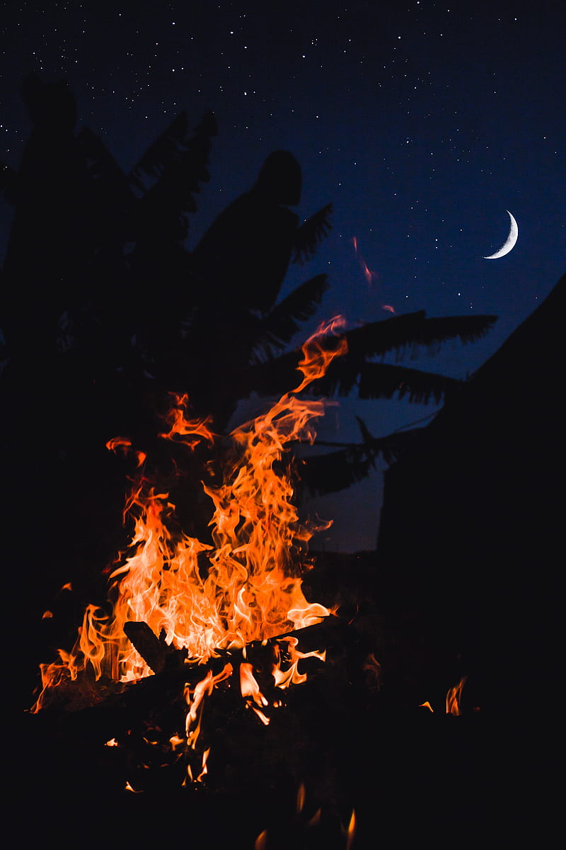 bonfire, fire, night, palm, moon, starry sky, HD phone wallpaper