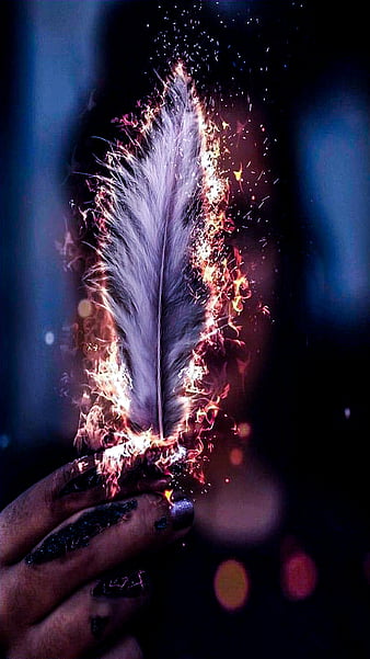 HD fire feather wallpapers Peakpx