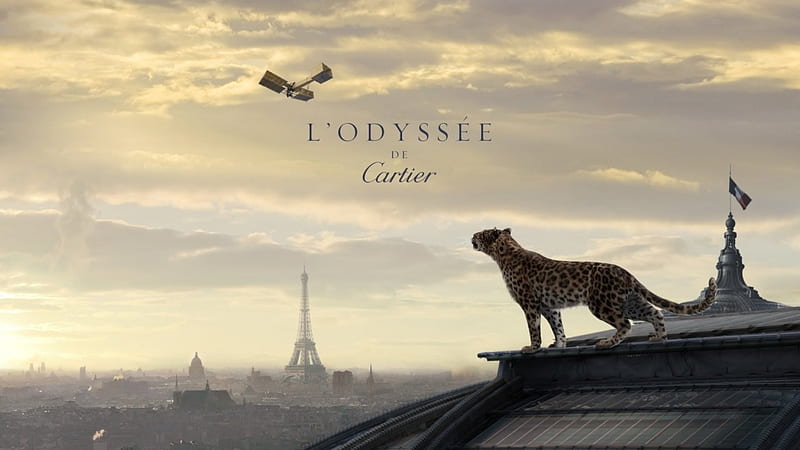 Cartier, Jewelry, Leopard, Adverts, Paris, HD wallpaper