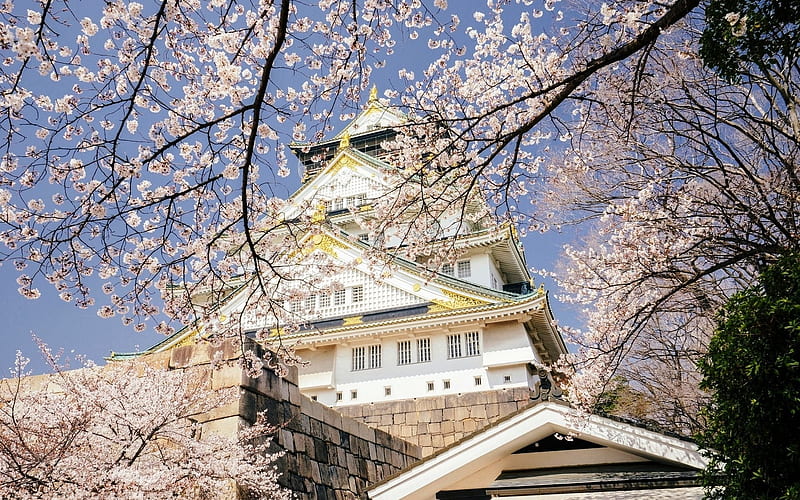 Osaka, palace, spring, sakura, blossom, japan, HD wallpaper