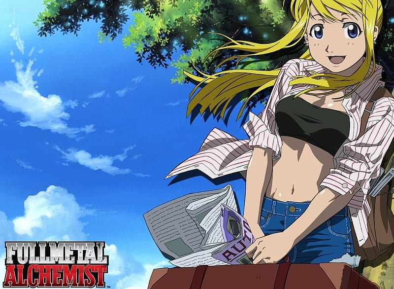 DokiDoki Manga Anime Fullmetal Alchemist Cosplay Winry Rockbell Wig Lo –  dokidokicosplay