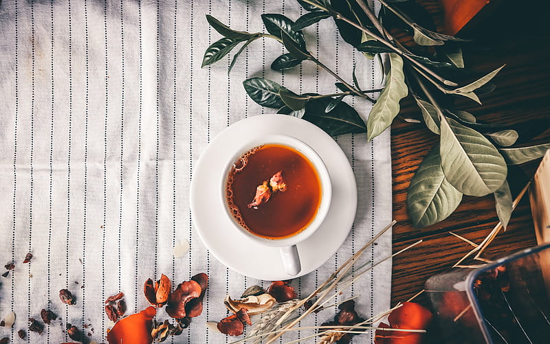 tea serve on white teacup, HD wallpaper