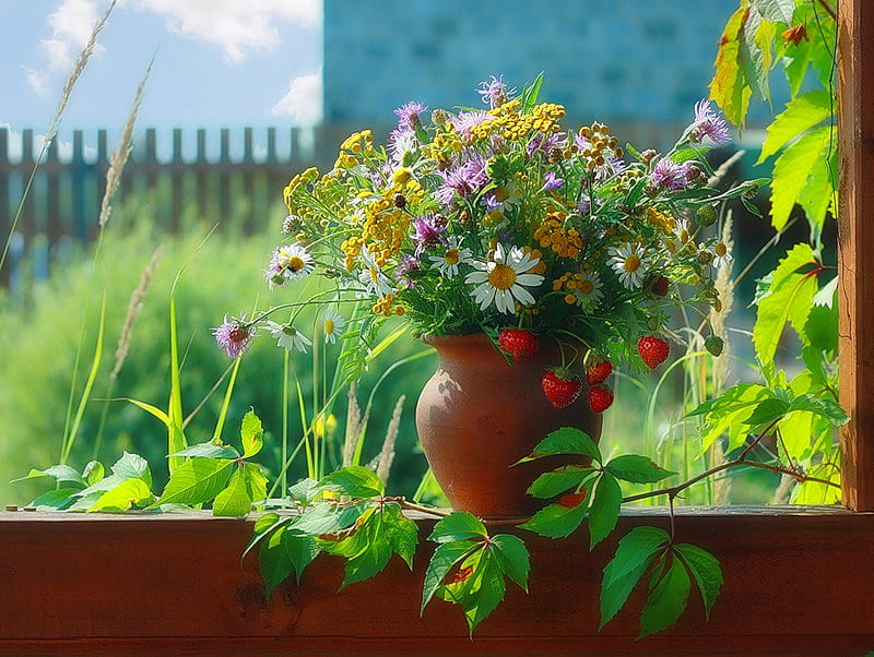 Summer scents, fence, grass, plant, fruits, sunny, bonito, frangrant, daisies, green, wildflowers, summer, flowers, strawberries, flower pot, HD wallpaper