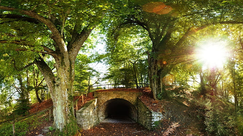 bridge in the park, sun beams, leaves, bridge, greenery, park, tunnel, trees, wall, HD wallpaper