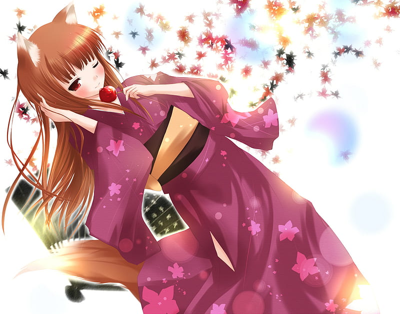 holo, animal ears, tail, komono, pink, spice and wolf, HD wallpaper