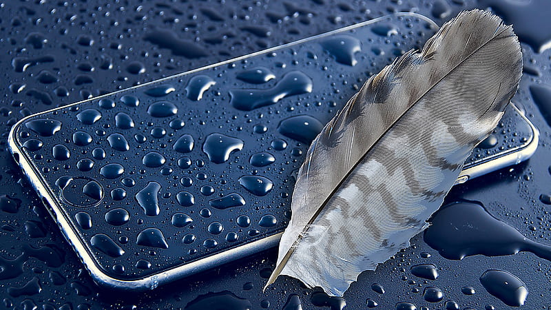 Apple Feather, apple, feather, graphy, HD wallpaper