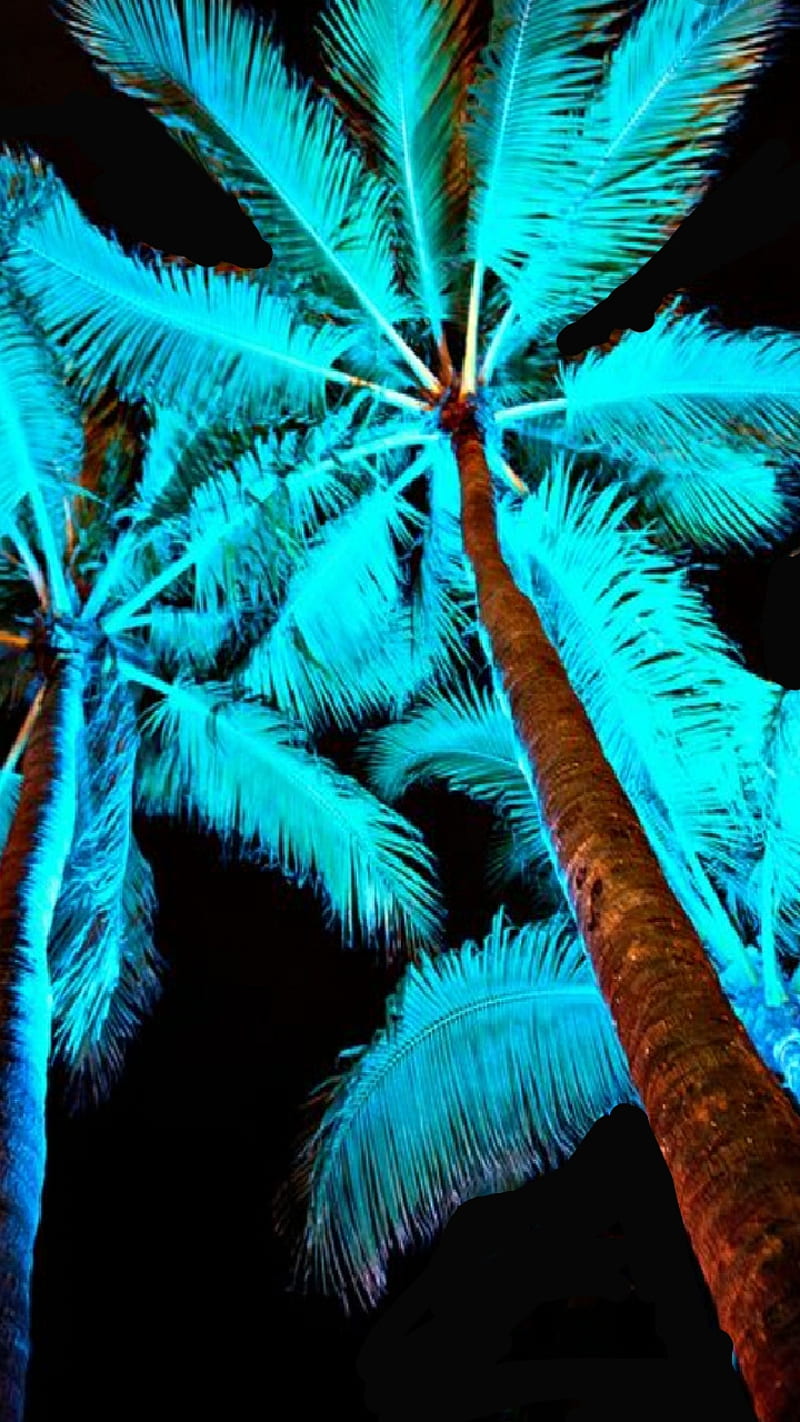 Beach Life, fronds, glowing, neon, night, palm, tree, turquoise, HD phone wallpaper