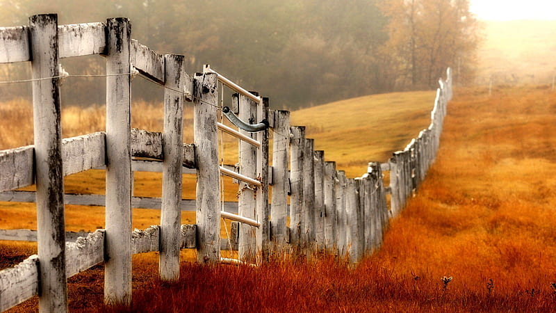 FARM FENCE, fence, autumn, mid distance, secluded, seasons, daytime, outdoors, fog, mist, farm, rural scene, white, field, HD wallpaper