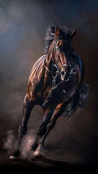 dark brown horse wallpaper