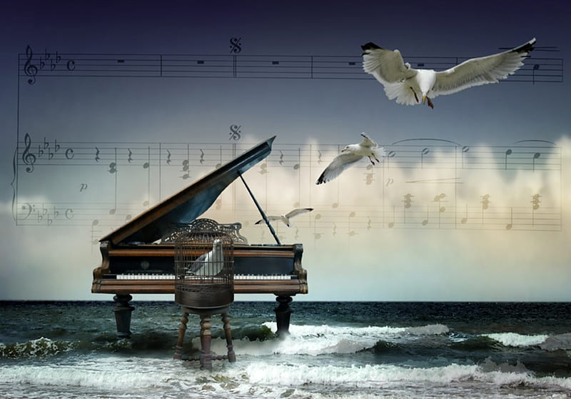 music, bird cage, seagull, sea, piano, HD wallpaper