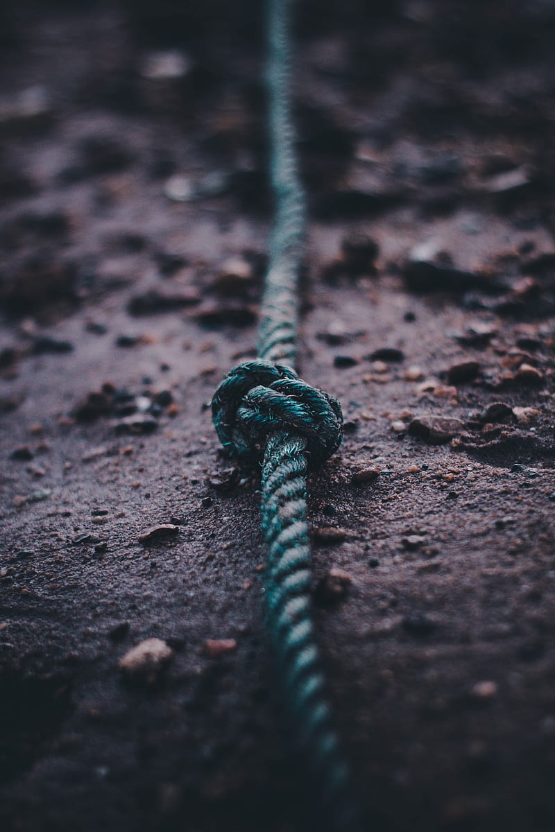 rope, knot, tied, HD phone wallpaper