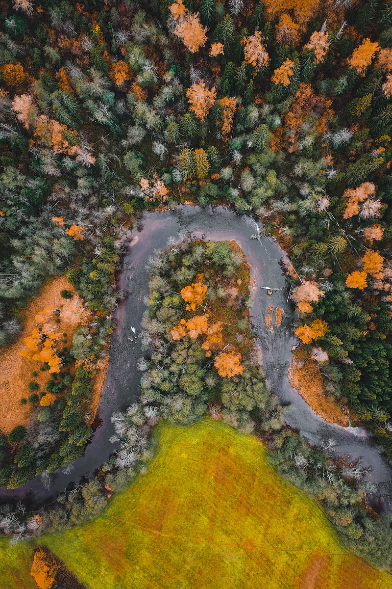 river, forest, aerial view, autumn, HD phone wallpaper