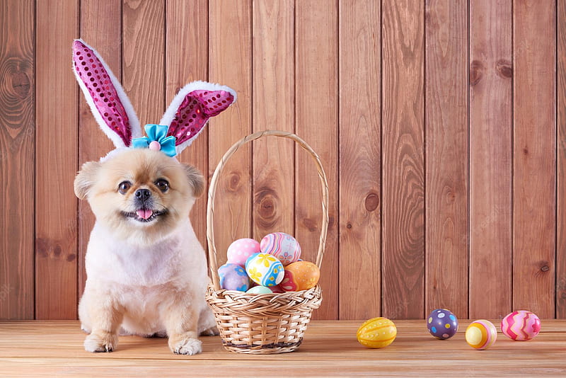 Dog Easter . Vectors, Stock & PSD, Cute Easter Dog, HD wallpaper