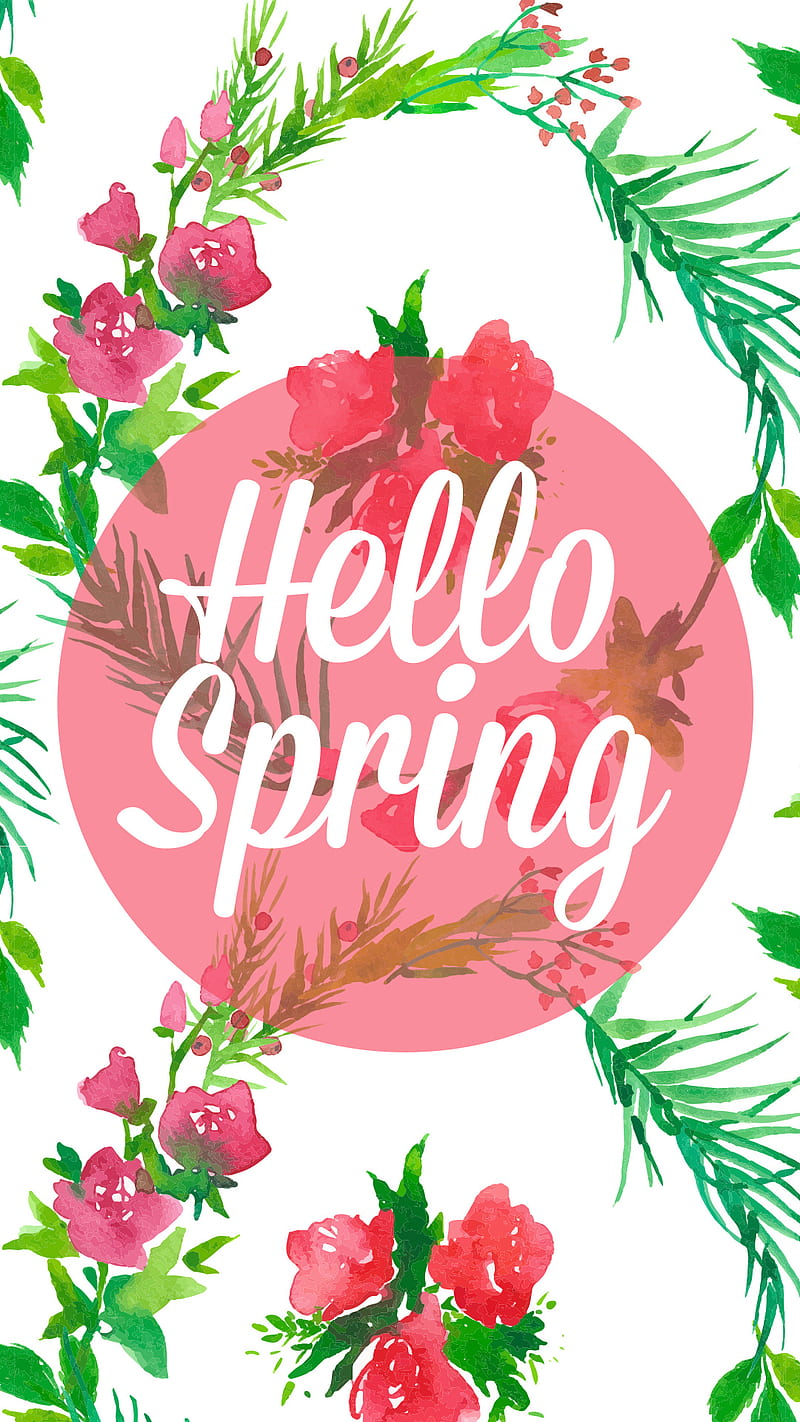 Hello Spring, flower, girly, hello, nature, pretty, spring, HD phone  wallpaper | Peakpx
