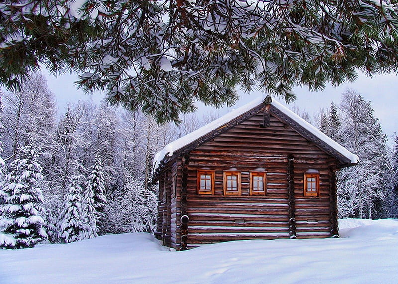 Old log cabin, pretty, house, cottage, cabin, bonito, cold, mountain, nice, calm, forest, lovely, trees, winter, serenity, snow, nature, wooden, HD wallpaper