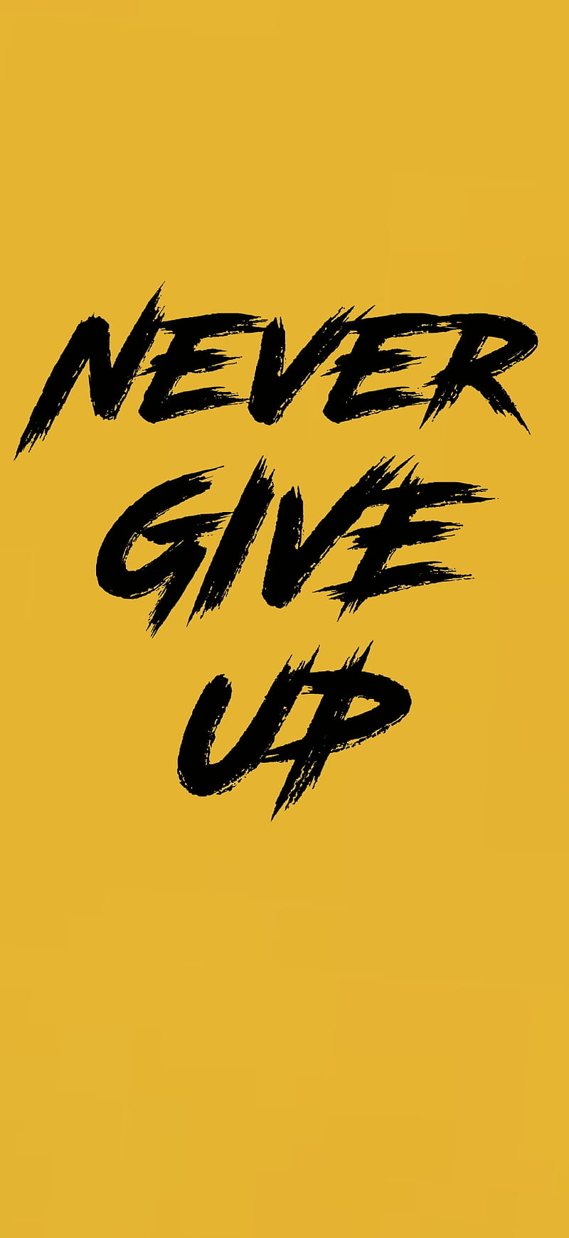 Cool , frases, inspiration, never give up, HD phone wallpaper