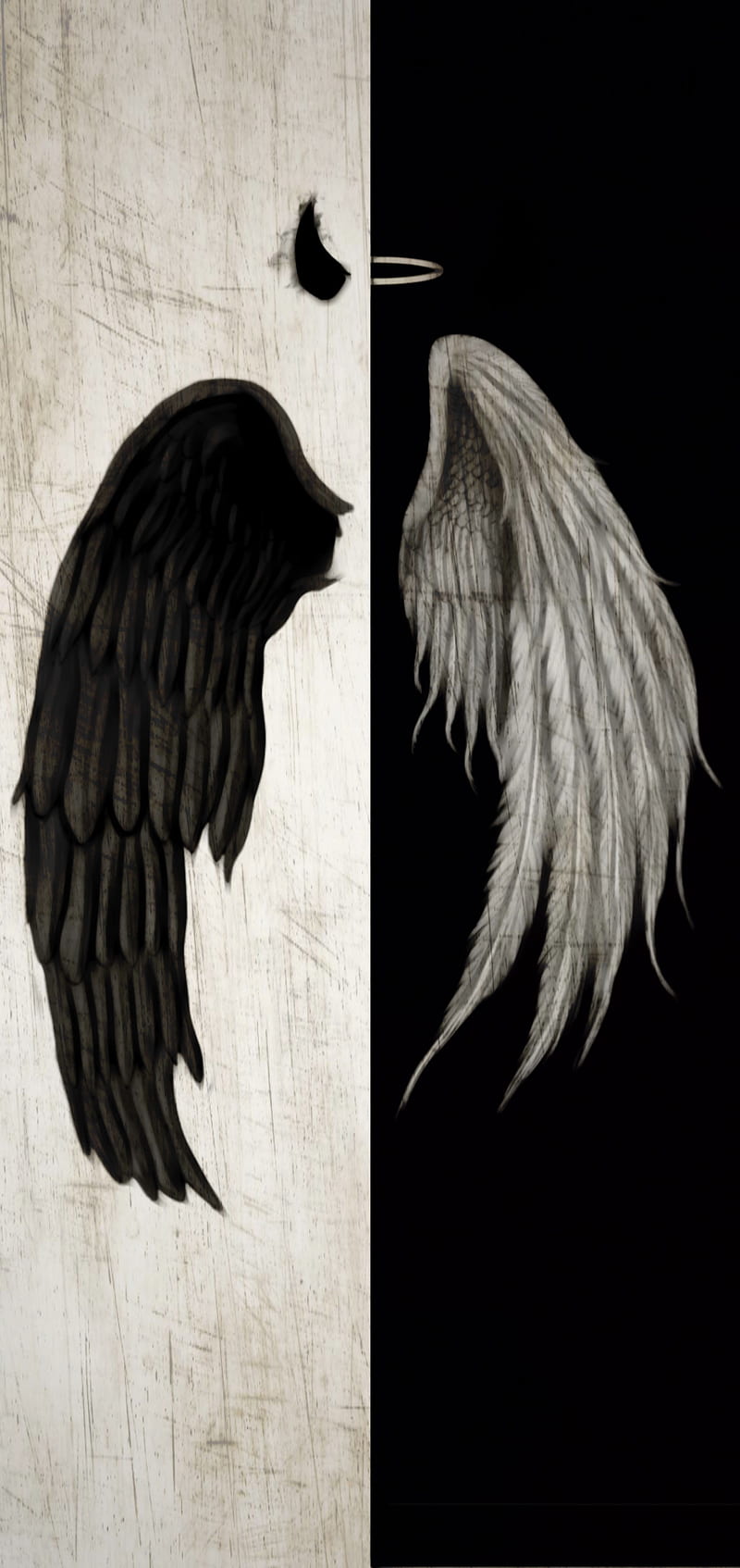 Devil and Angel, angel, black, devil, heaven, hell, horn, ring, white, HD  phone wallpaper | Peakpx