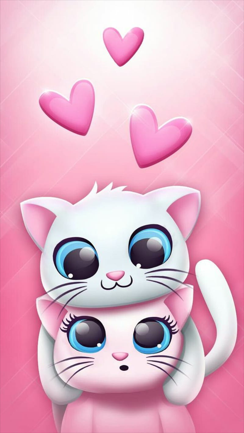 Cat, cute, love, angry, pie, HD phone wallpaper