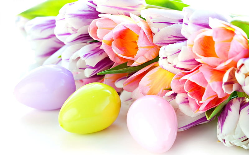 Easter eggs, spring, tulips, spring flowers, Easter, HD wallpaper
