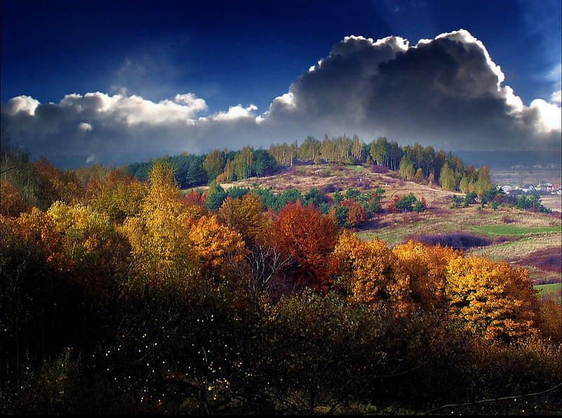 Radiance of a Thousand Colors, sun, sunlights, grass, orange, scarlet, background, yellow, clouds, cenario, thousand, nice, scenario, forests, morning, declive, hills, dawn, paysage, cena, black, sky, trees, panorama, cool, purple, awesome, violet, fullscreen, landscape, red, colorful, autumn, brown, gray, woods, numbers, bonito, seasons, trunks, grasslands, leaves, roots, green, grove, fields, land, scenery, blue, amazing, colors, downhills, paisagem paisage, leaf, radiance, day, nature, branches, natural, scene, scarlat, HD wallpaper