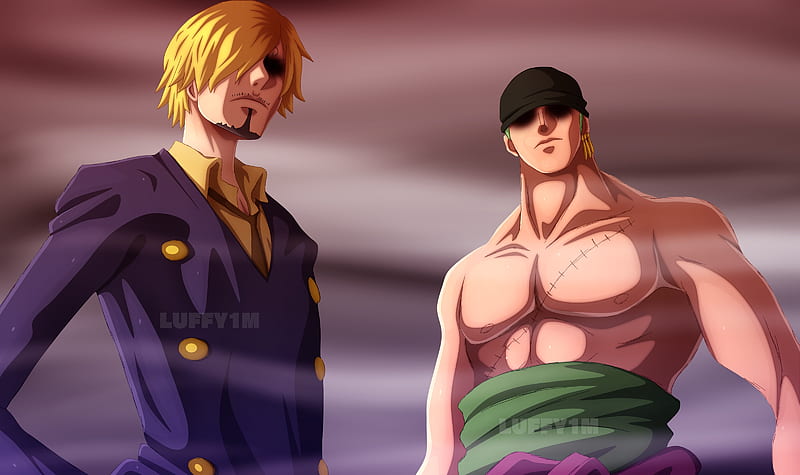 323467 Sanji Zoro One Piece 4k  Rare Gallery HD Wallpapers