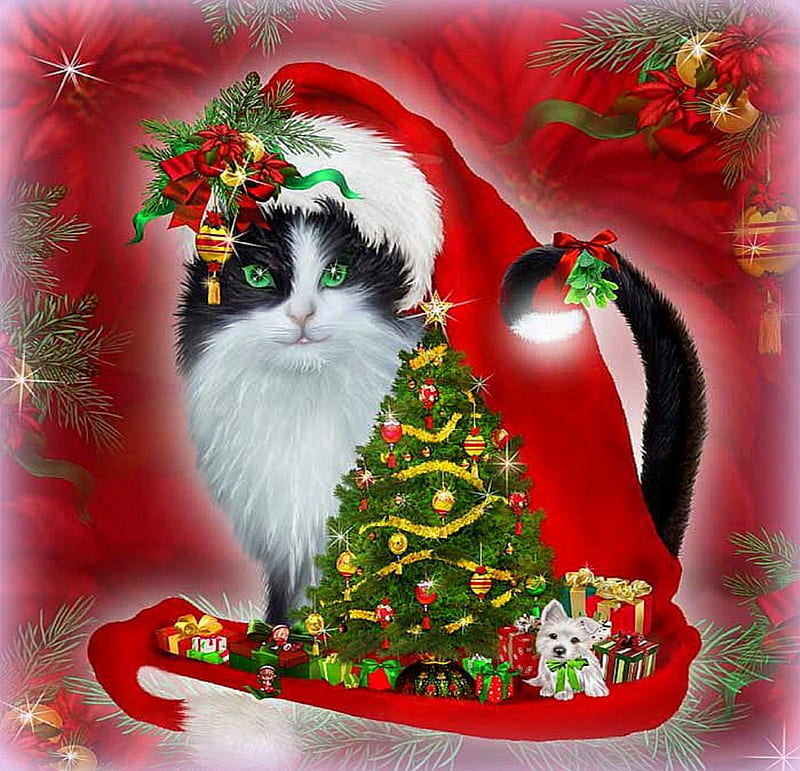 ★Cat in Santa Hat★, ornaments, bonito, bow, xmas and new year, greetings, decorations, animals, lovely, christmas, love four seasons, creative pre-made, christmas trees, cat, giftboxes, balls, winter holidays, weird things people wear, santa hat, celebrations, HD wallpaper