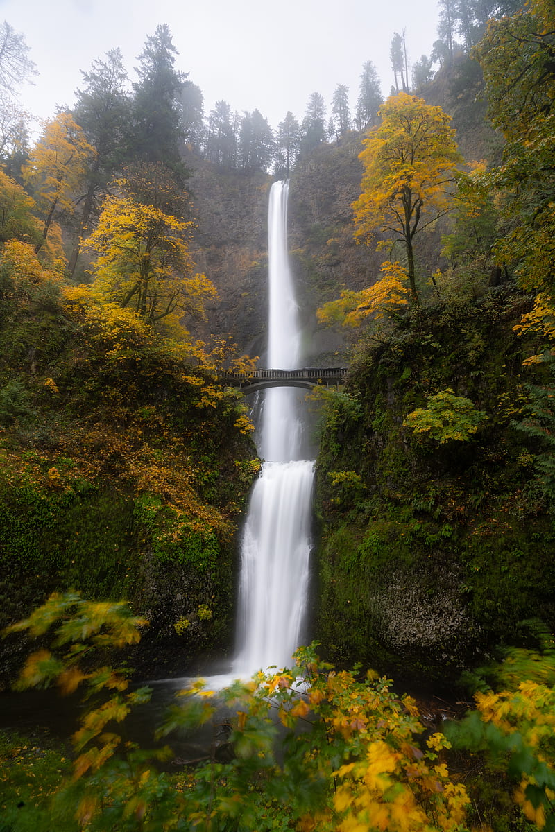 Waterfall, water, bridge, trees, landscape, HD phone wallpaper | Peakpx