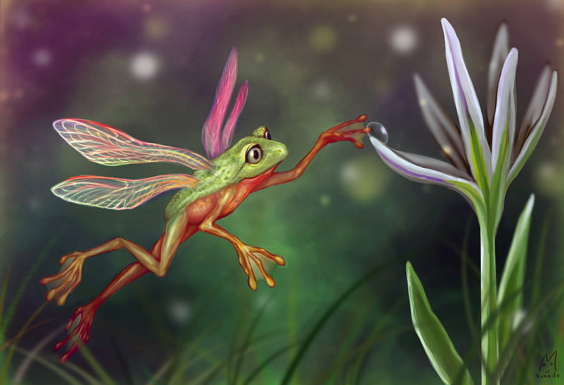 Fairy frog, red, wings, luminos, orange, frog, fantasy, green, maja klockljung, flower, fairy, HD wallpaper
