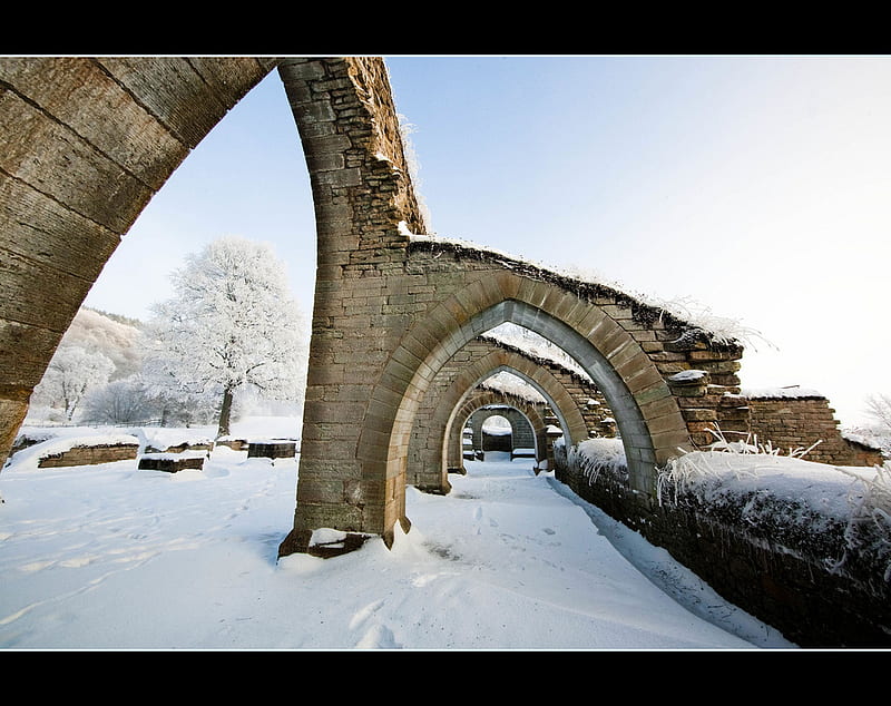 Frosty arches, ruins, trees, winter, cold, frosty, arches, arhitecture, medieval, snow, ice, nature, ruin, sesons, HD wallpaper