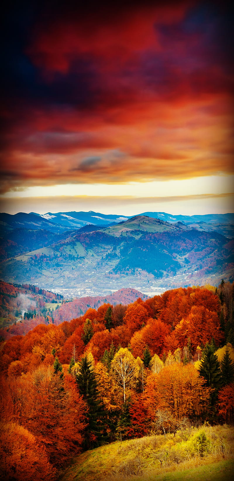 Fall, mountains, forest, autumn, landscapes, leaves, landscape, season, HD phone wallpaper