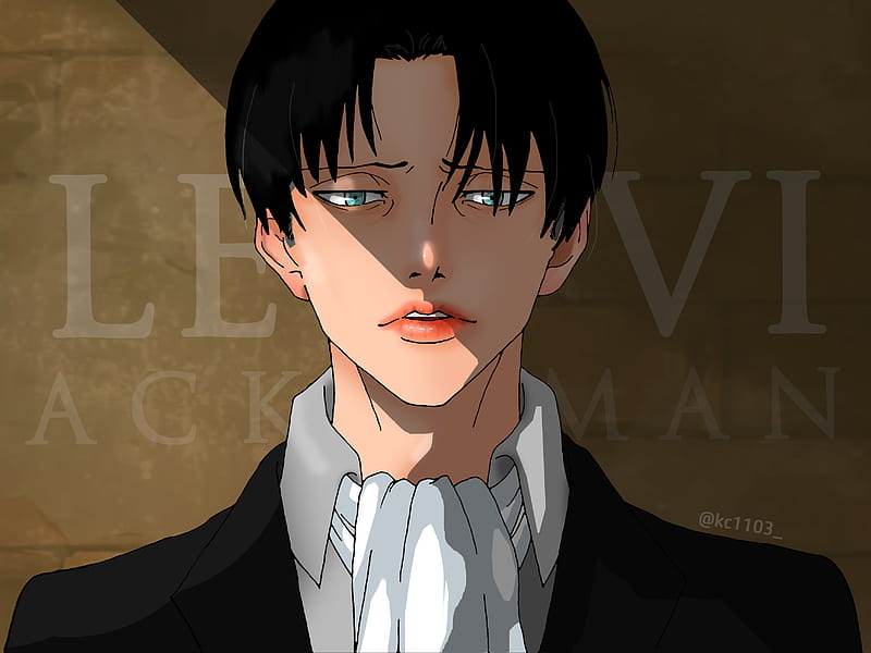 Anime, Attack On Titan, Levi Ackerman, HD wallpaper | Peakpx