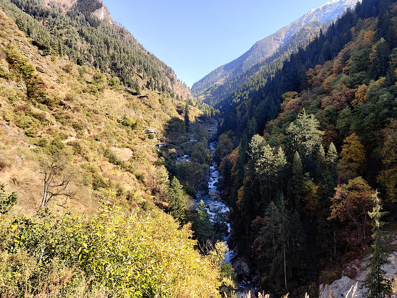River, cozy, himachal, kullu, ladakh, landscape, manali, paysage, shimla, trees, HD wallpaper