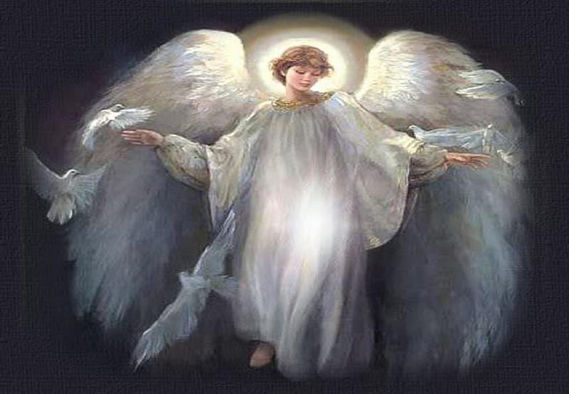 HEAVENLY WHITE ANGEL, DOVE, ANGEL, HEAVENLY, PEACE, WHITE, HD wallpaper