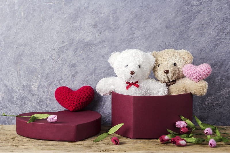 Holiday, Valentine's Day, Flower, Gift, Heart, Love, Still Life, Teddy Bear, HD wallpaper