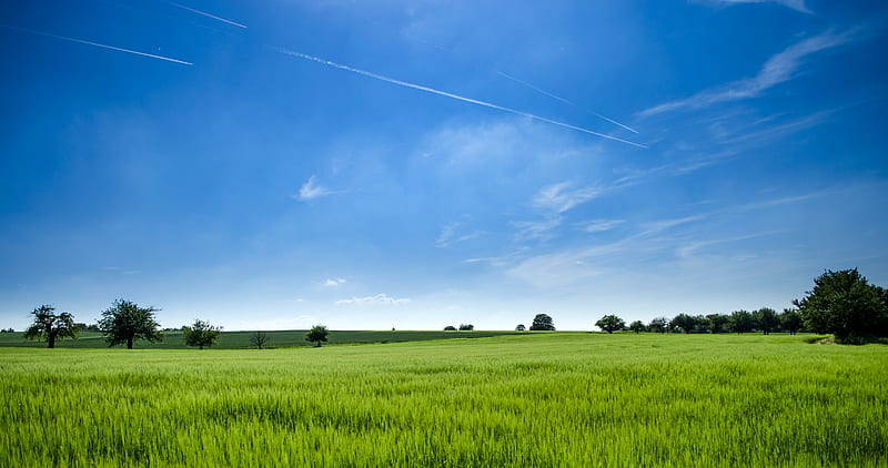 Panoramic graphy of Green Field, HD wallpaper