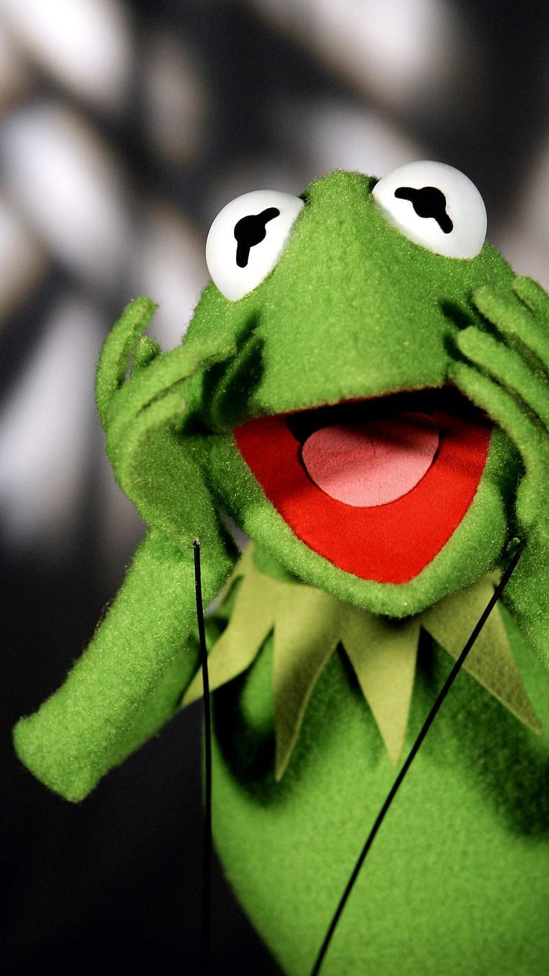 Kermit Frog Funny Hd Mobile Wallpaper Peakpx